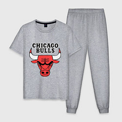 Пижама хлопковая мужская Chicago Bulls, цвет: меланж