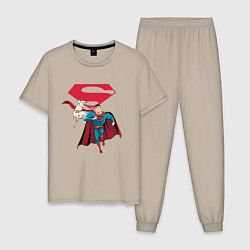 Мужская пижама Крипто и Супермен с лого DC Лига Суперпитомцы
