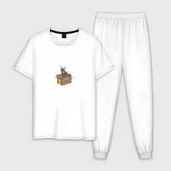 Пижама хлопковая мужская Кошка в коробке, цвет: белый
