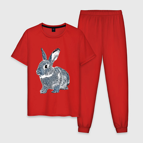 Мужская пижама 2023 год - год голубого кролика / Красный – фото 1