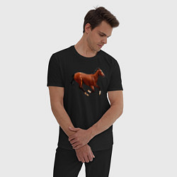 Пижама хлопковая мужская Чистокровная верховая лошадь, цвет: черный — фото 2