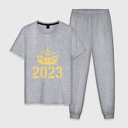 Пижама хлопковая мужская Корона 2023, цвет: меланж