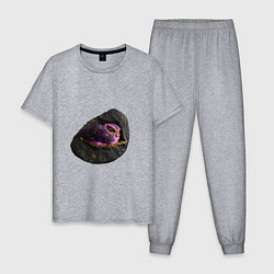 Пижама хлопковая мужская Птица в камне, цвет: меланж