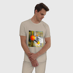 Пижама хлопковая мужская Авто beamNG drive, цвет: миндальный — фото 2