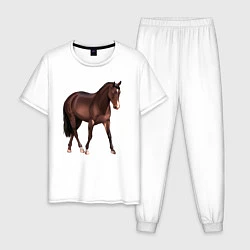 Пижама хлопковая мужская Австралийская пастушья лошадь, цвет: белый