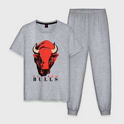 Мужская пижама Chicago bull