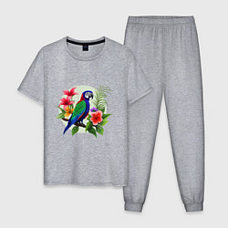 Пижама хлопковая мужская Попугай среди цветов, цвет: меланж