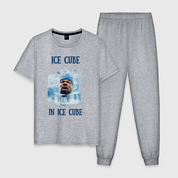 Пижама хлопковая мужская Ice Cube in ice cube, цвет: меланж