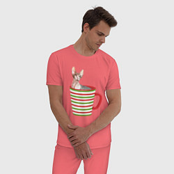 Пижама хлопковая мужская Сфинкс в новогодней полосатой кружке, цвет: коралловый — фото 2
