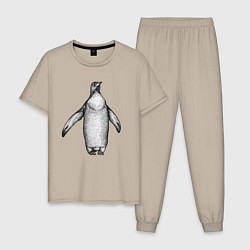 Пижама хлопковая мужская Пингвин штрихами, цвет: миндальный