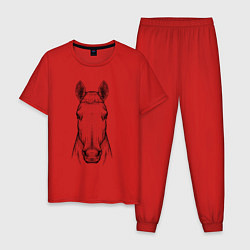 Пижама хлопковая мужская Голова лошади анфас, цвет: красный