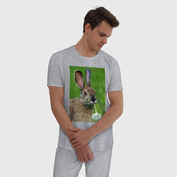 Пижама хлопковая мужская Зайчик с одуванчиком, цвет: меланж — фото 2