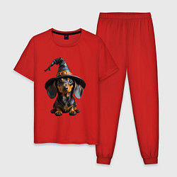 Пижама хлопковая мужская Такса в шляпе ведьмы хэллоуин, цвет: красный