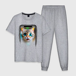 Пижама хлопковая мужская Кот в смартфоне, цвет: меланж