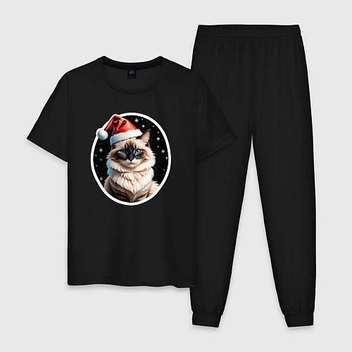 Мужская пижама Кот породы Рэгдолл в новогодней шапке / Черный – фото 1