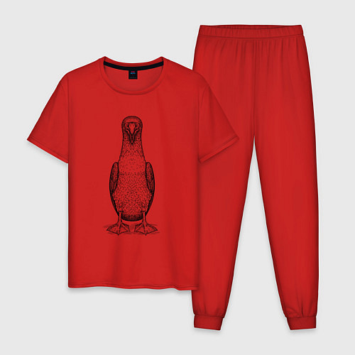 Мужская пижама Олуша анфас / Красный – фото 1