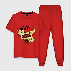 Мужская пижама Bulls logo with hands