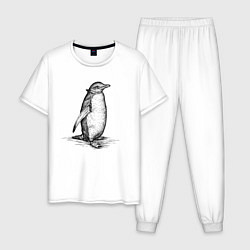 Пижама хлопковая мужская Императорский пингвиненок, цвет: белый