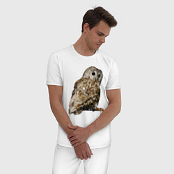 Пижама хлопковая мужская Серая сова, цвет: белый — фото 2