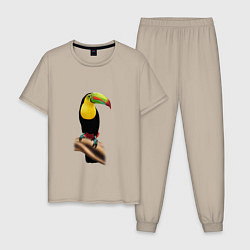 Пижама хлопковая мужская Птица тукан, цвет: миндальный