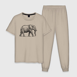 Пижама хлопковая мужская Слон гуляет, цвет: миндальный