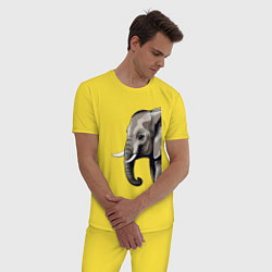 Пижама хлопковая мужская Большой африканский слон, цвет: желтый — фото 2