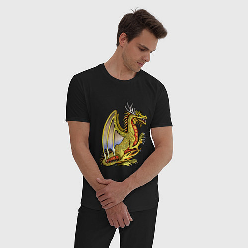 Мужская пижама HOMM3 gold dragon / Черный – фото 3