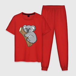 Пижама хлопковая мужская Koala, цвет: красный