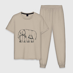 Мужская пижама Сколько ног у слона