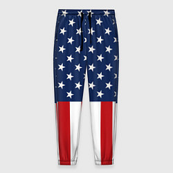 Мужские брюки Флаг США