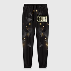 Мужские брюки PUBG: Night Fireflies