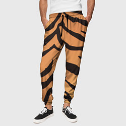 Брюки на резинке мужские Тигриный камуфляж, цвет: 3D-принт — фото 2
