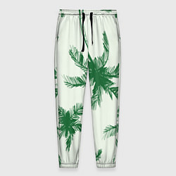 Мужские брюки Пальмовый рай