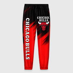 Брюки на резинке мужские CHICAGO BULLS, цвет: 3D-принт