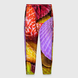 Мужские брюки Разноцветные ракушки multicolored seashells