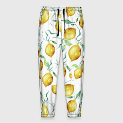 Мужские брюки Лимоны Нарисованные Акварелью