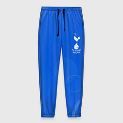Мужские брюки Tottenham hotspur Голубая абстракция