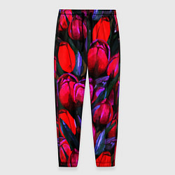 Мужские брюки Тюльпаны - поле красных цветов