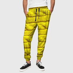 Брюки на резинке мужские Жёлтый свитер - Осень-Зима 2028, цвет: 3D-принт — фото 2