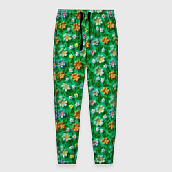 Мужские брюки Объемные летние цветы