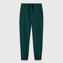 Мужские брюки Тёмно-зелёный однотонный текстура