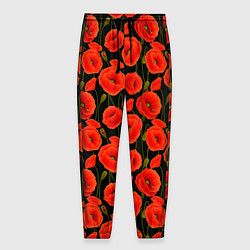 Мужские брюки Полевые цветы маки