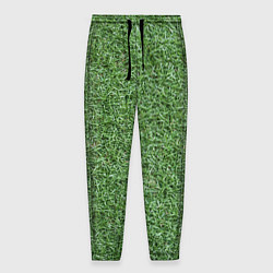 Мужские брюки Зеленая травка