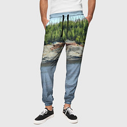 Брюки на резинке мужские Троицко-байновское месторождение глины, цвет: 3D-принт — фото 2