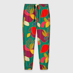 Мужские брюки Ягодно-цветочная абстракция