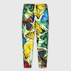 Мужские брюки Тропические бабочки
