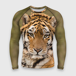 Рашгард мужской Милый тигр, цвет: 3D-принт