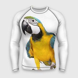 Рашгард мужской Попугай ара, цвет: 3D-принт