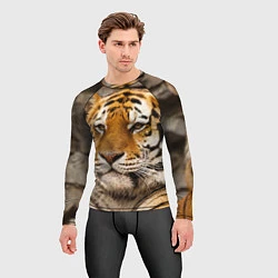Рашгард мужской Мудрый тигр, цвет: 3D-принт — фото 2