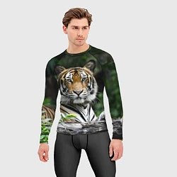 Рашгард мужской Тигр в джунглях, цвет: 3D-принт — фото 2